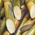 Cane Sugar