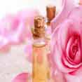 Rose Oil