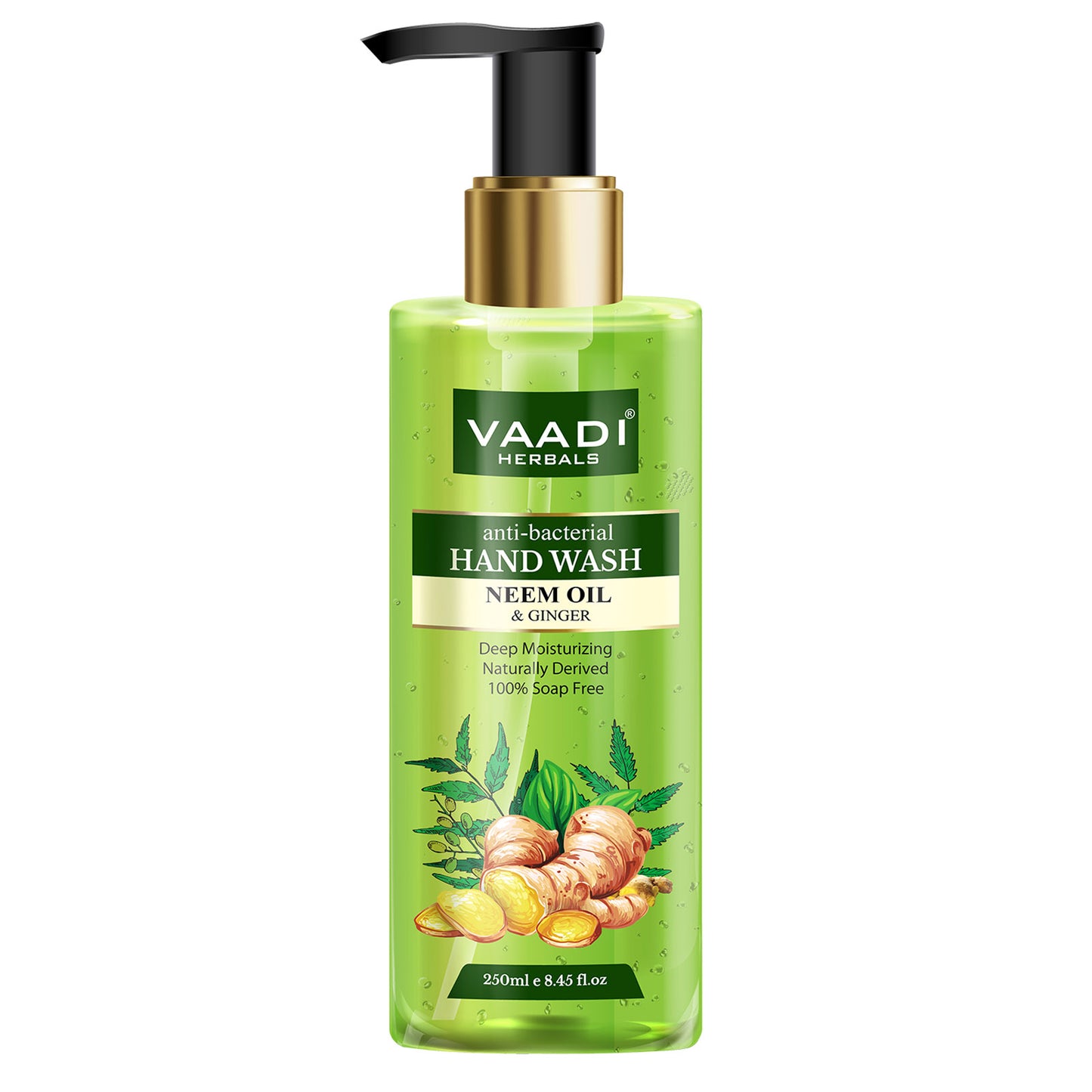 Ultra Nourishing - Pack of 2 Luxurious Handwash - Aloe Vera & Neem Oil - Pack of 2 (250 ml x 2)