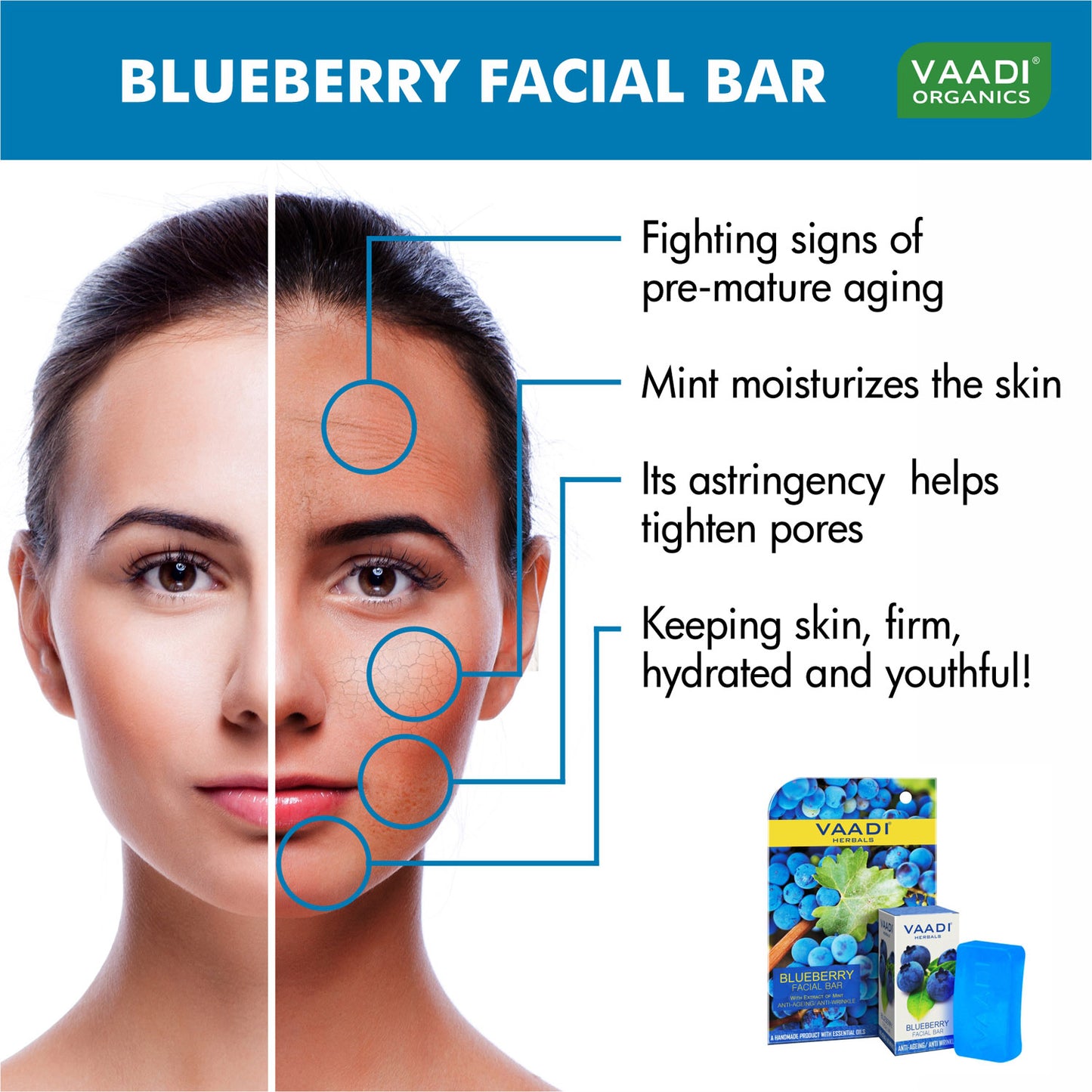 Pack of 4 Blueberry Facial Bars with Extract of Mint (25 gms x 4)