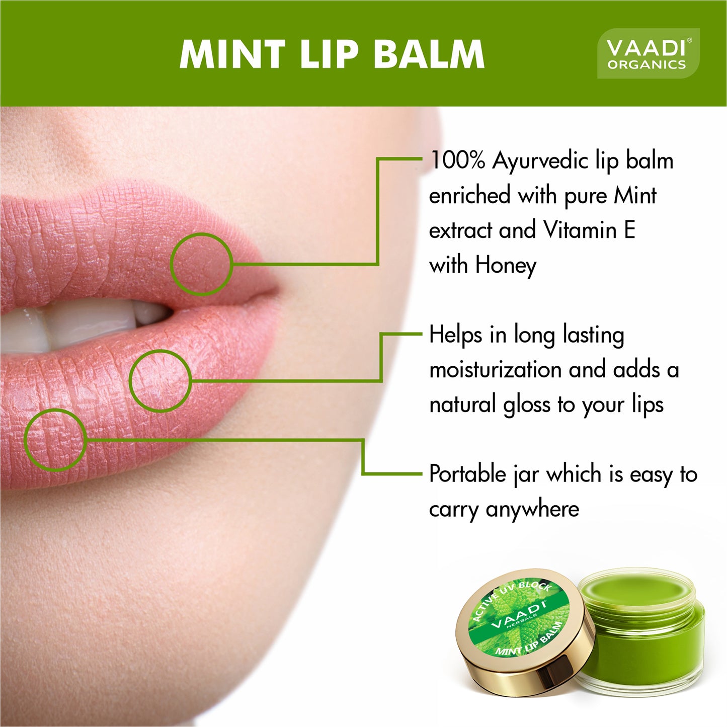 Pack of 8 Lip Balm - Mint (10 gms x 8)