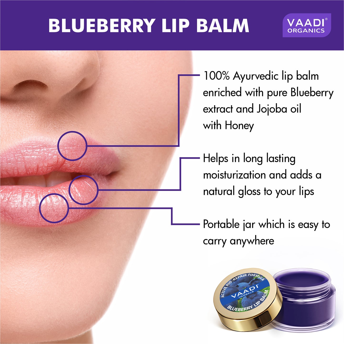 Lip Balm - Blueberry (10 gms)