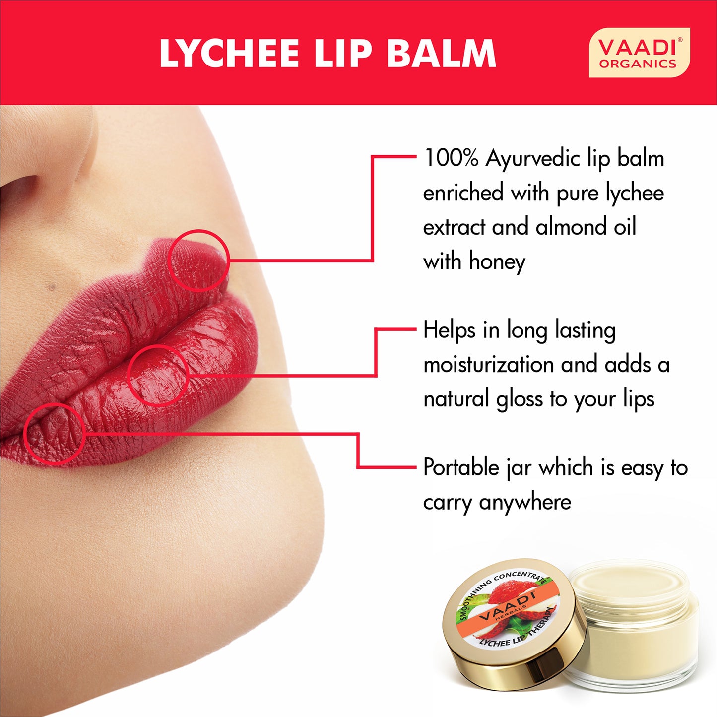 Pack of 8 Lip Balm - Lychee (10 gms x 8)
