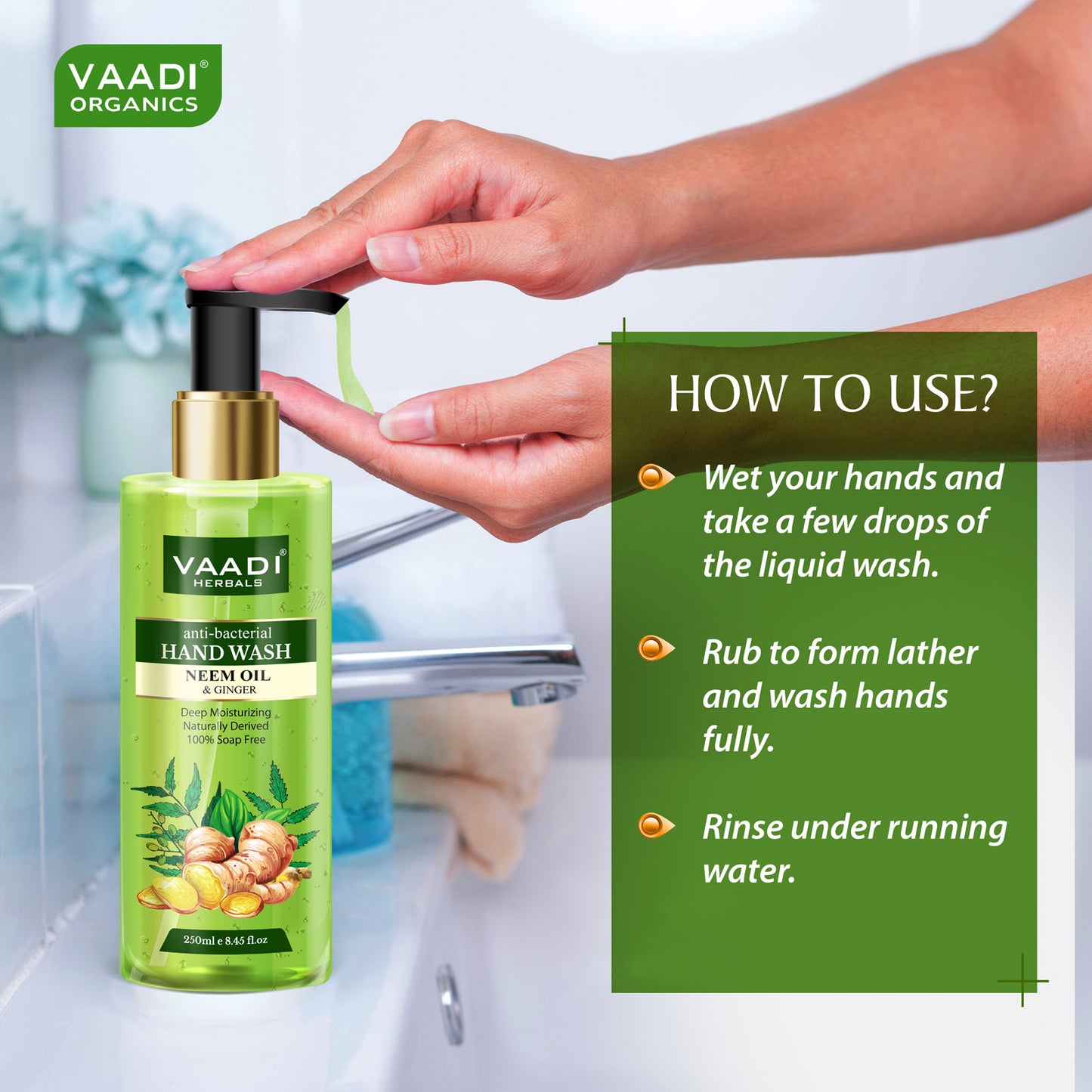 Pack of 3 Anti-Bacterial Neem Oil & Ginger Hand Wash (250 ml x 3)