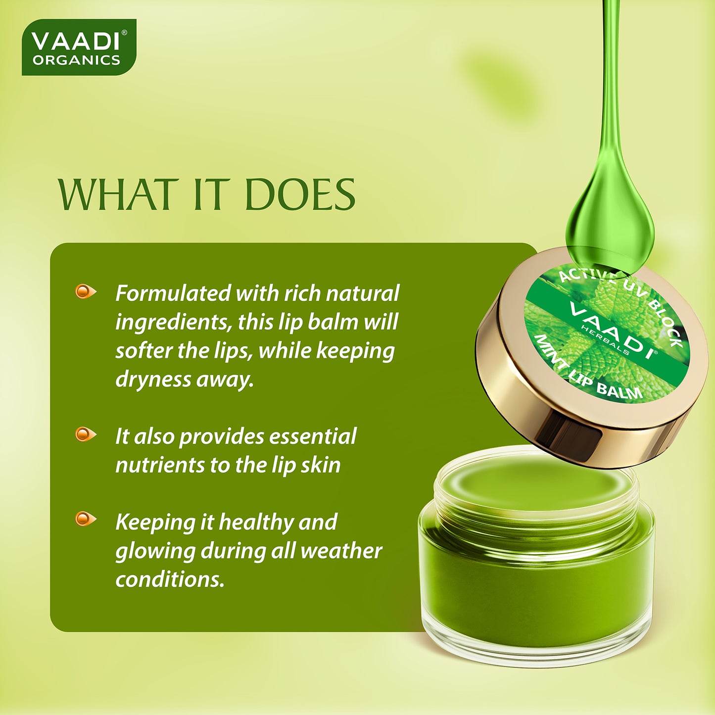 Lip Balm - Mint (10 gms)