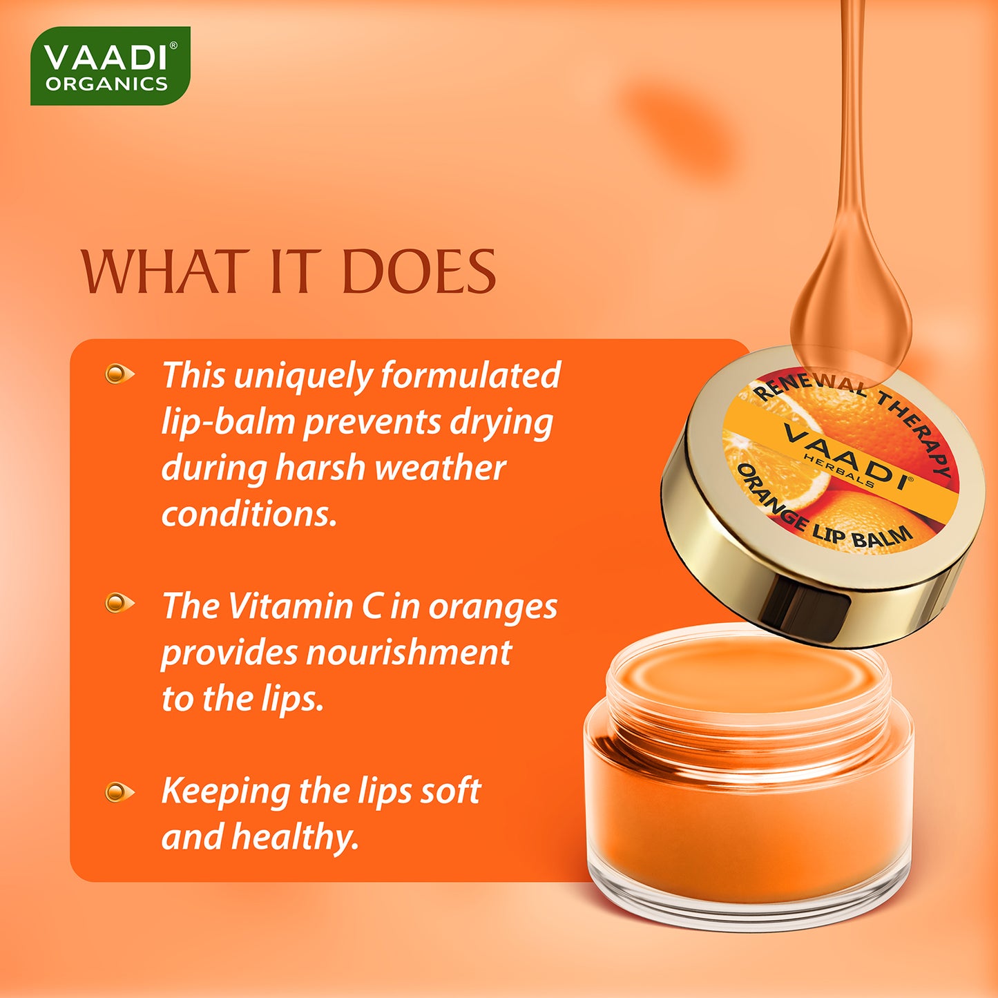 Pack of 8 Lip Balm - Orange & Shea Butter (10 gms x 8)