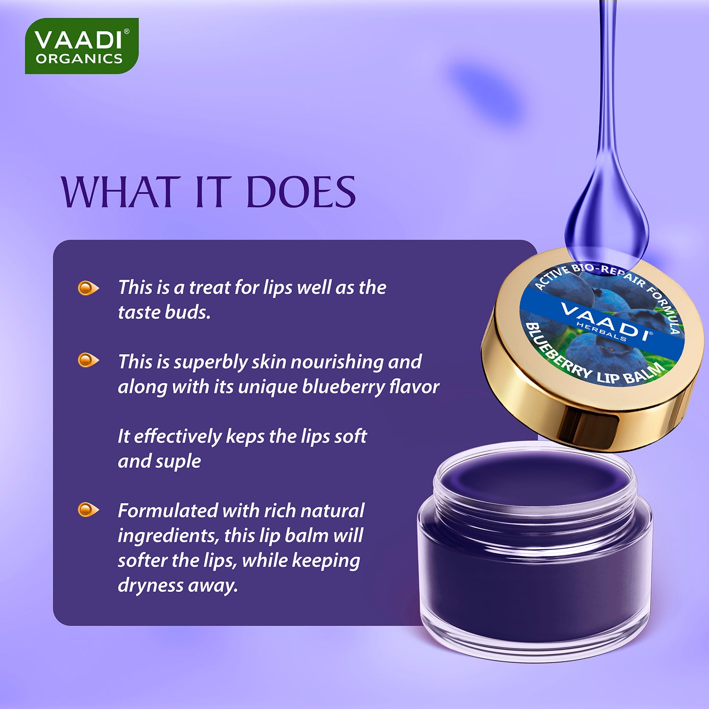 Lip Balm - Blueberry (10 gms)