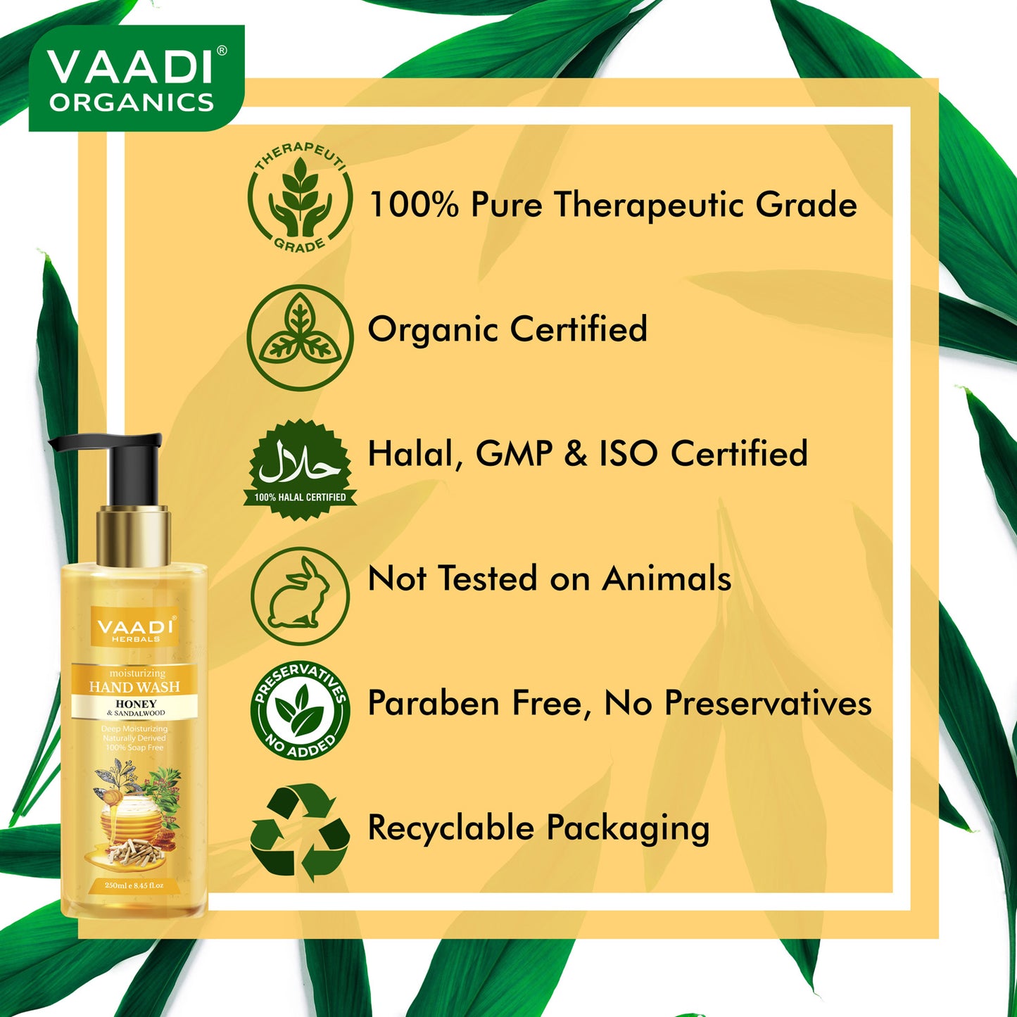 Pack of 3 Luxurious Handwash - Aloe Vera & Jojoba Oil, Neem Oil & Ginger, Honey & Sandal (250 ml x 3)