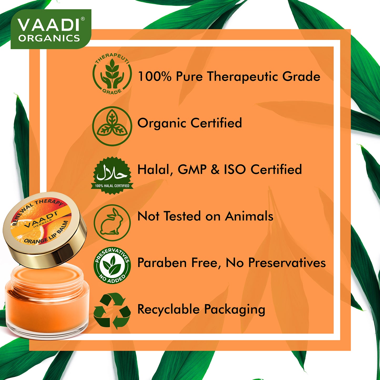 Lip Balm - Orange & Shea Butter (10 gms)