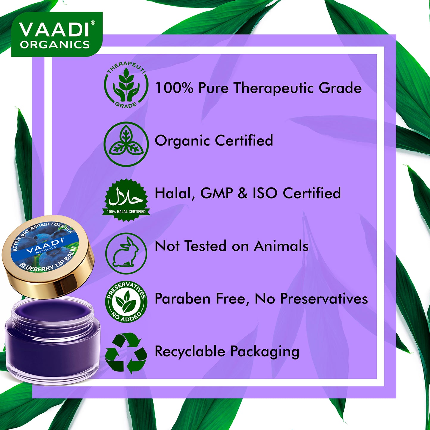 Lip Balm - Blueberry (10 gms)