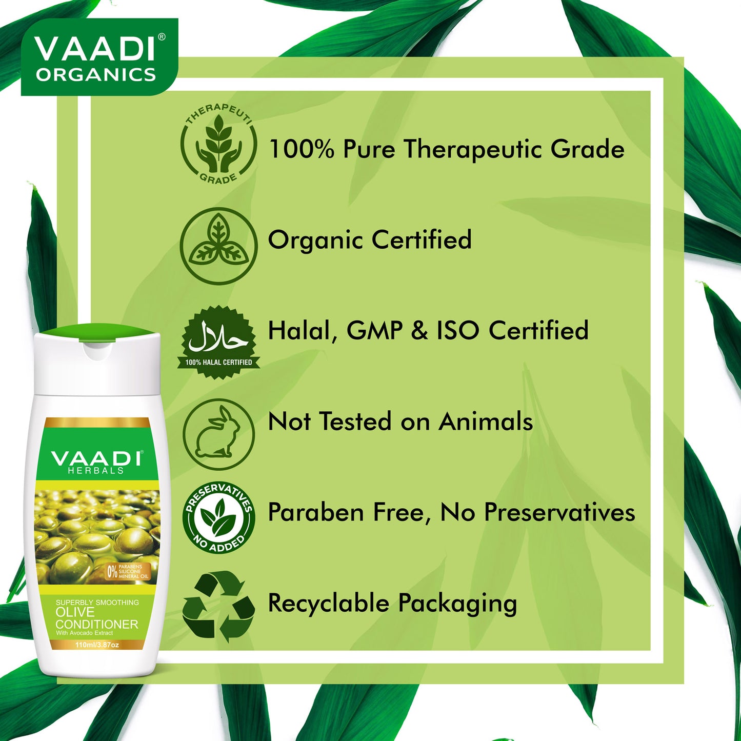 Pack of 3 Olive Conditioner With Avocado Extract (110 ml x 3)