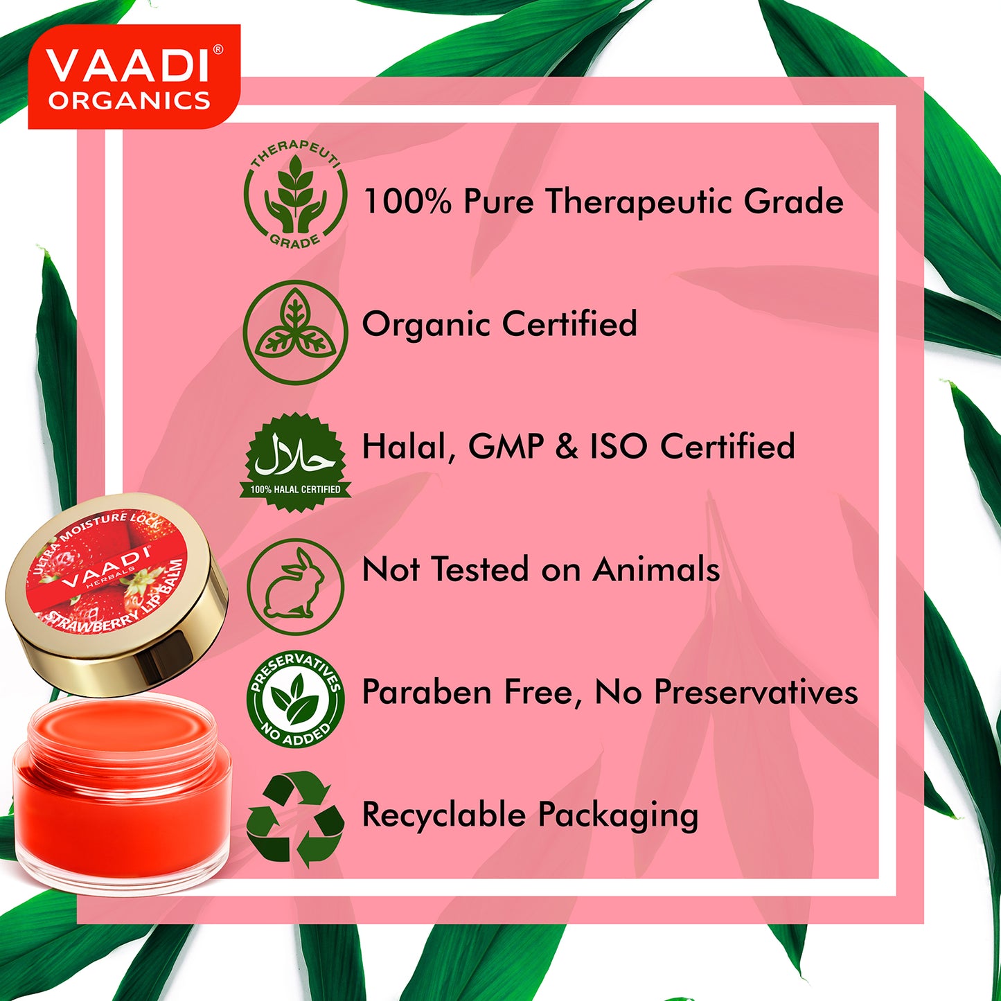 Pack of 4 Lip Balm - Strawberry & Honey (10 gms x 4 )