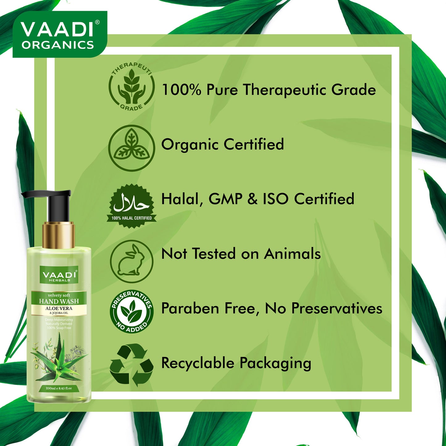 Pack of 2 Velvety Soft Aloe Vera & Jojoba Oil Hand Wash (250 ml x 2)