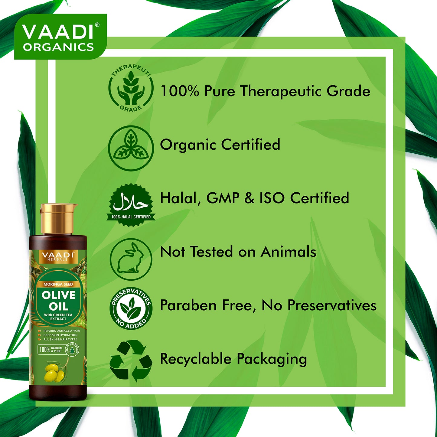 Cold Pressed Moringa Seed Olive Oil with Green Tea Extract- Repairs Damaged Hair-Deep Moisturisation -Skin Hydrating-Strengthens Hair -For All Types of Skin & Hair - 250ml