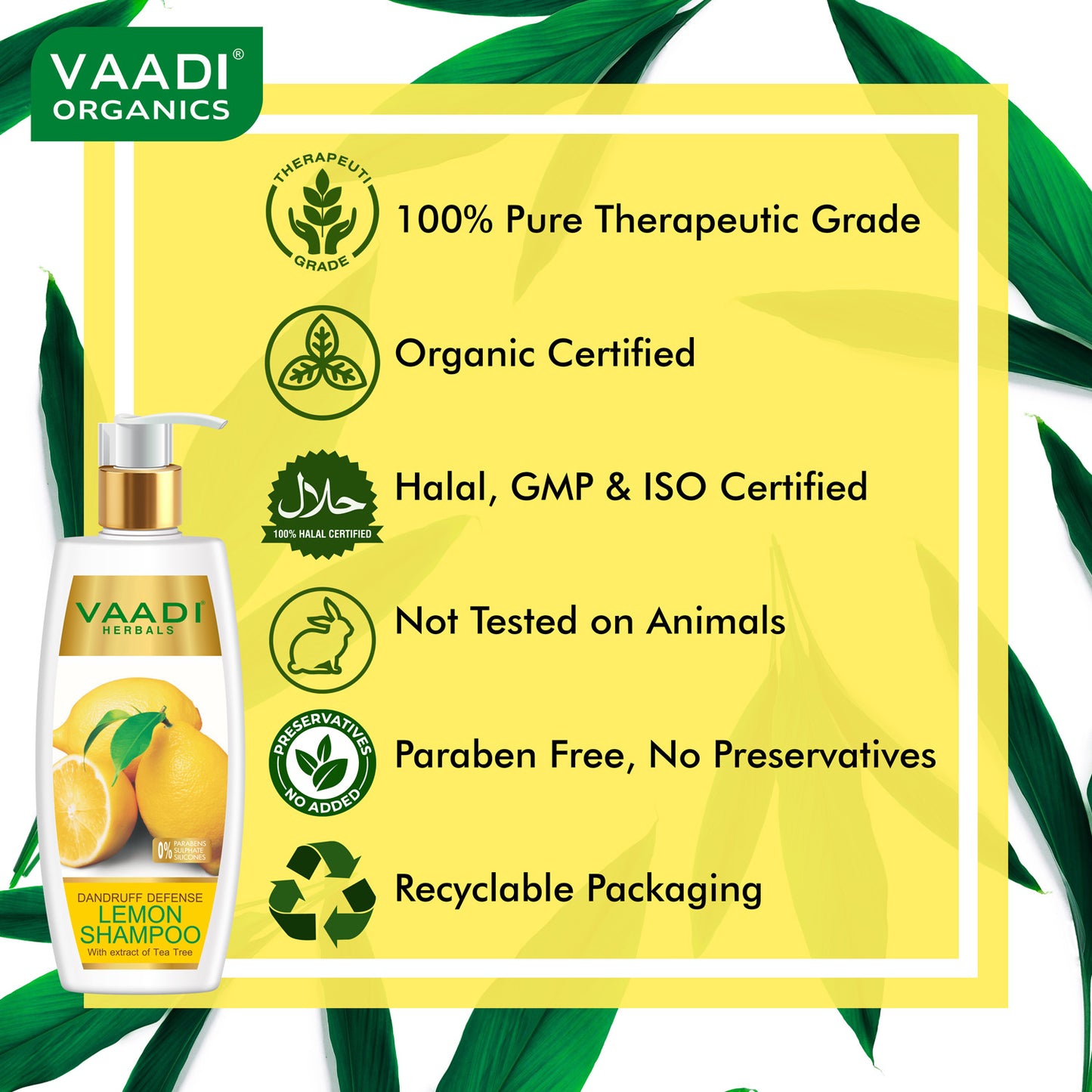 Pack of 3 Dandruff Defense Lemon Shampoo with Extracts of Tea Tree (350 ml x 3)