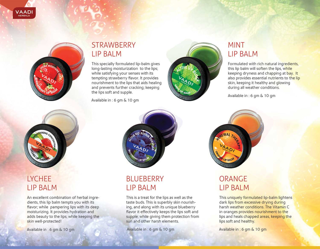 Assorted Pack of 5 Lip Balms (10 gms x 5)