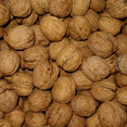 Walnut Scrub