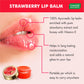 Pack of 8 Lip Balm - Strawberry & Honey (10 gms x 8)