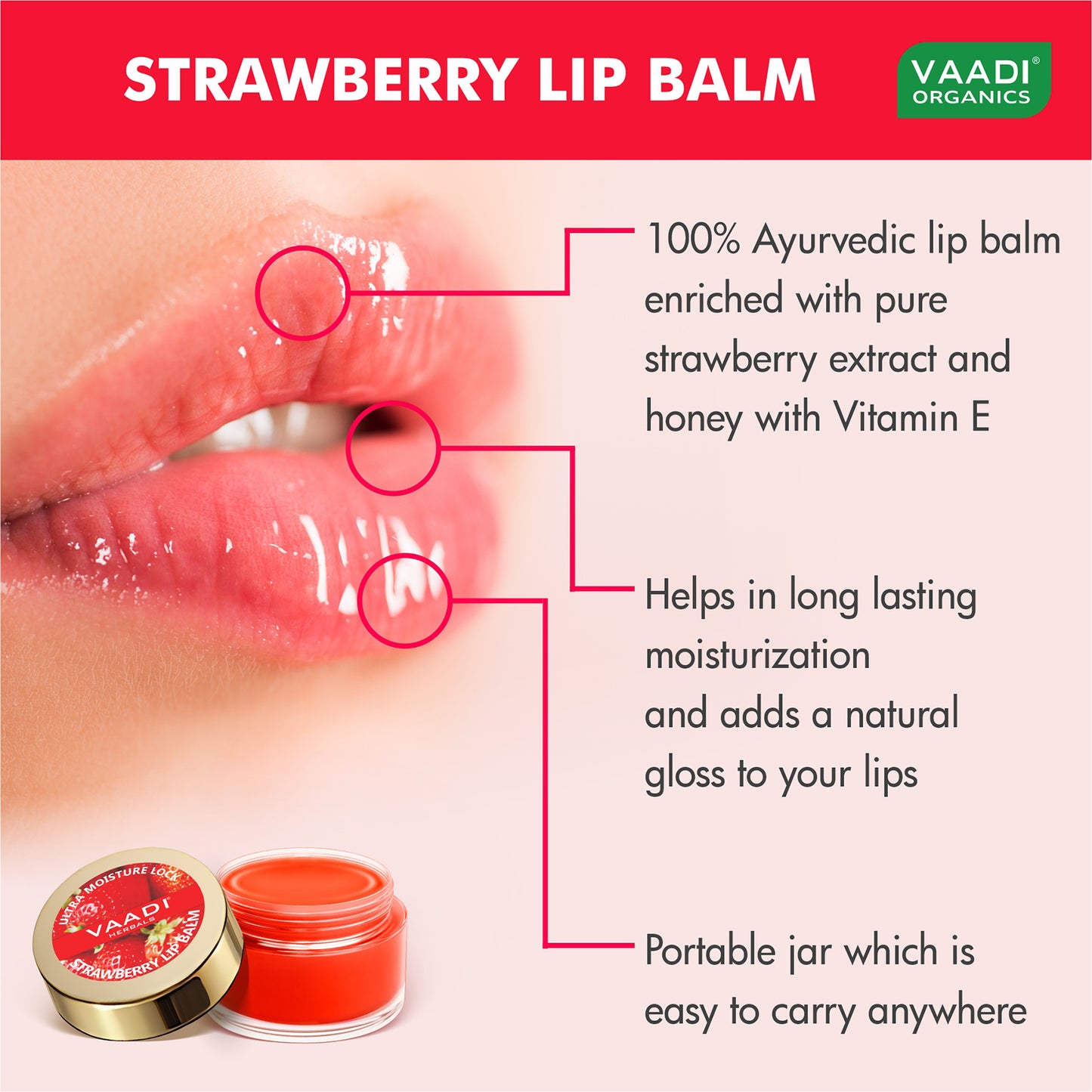 Pack of 8 Lip Balm - Strawberry & Honey (10 gms x 8)