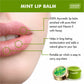 Pack of 4 Lip Balm - Mint (10 gms x 4)