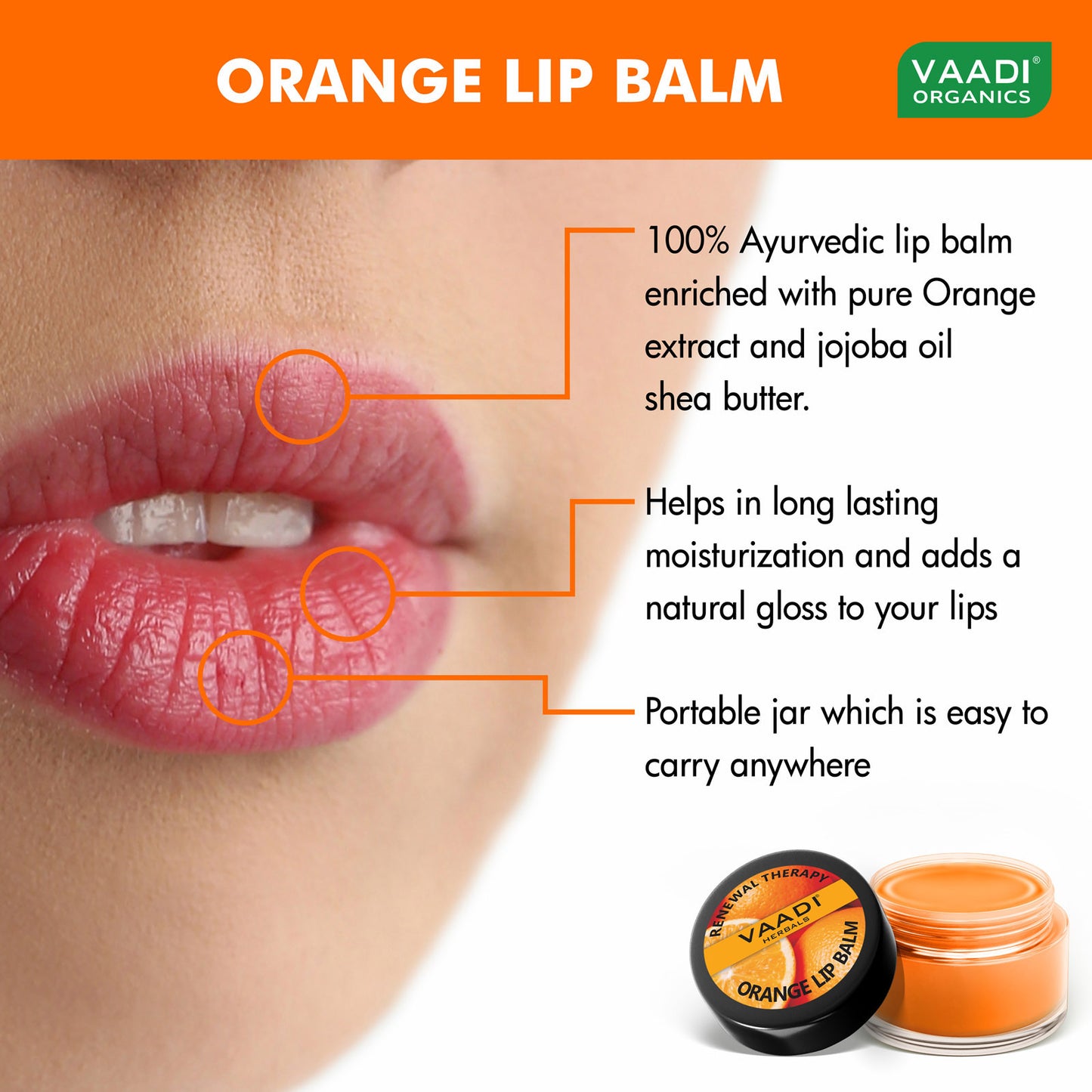 Pack of 4 Lip Balm - Orange & Shea Butter (10 gms x 4)