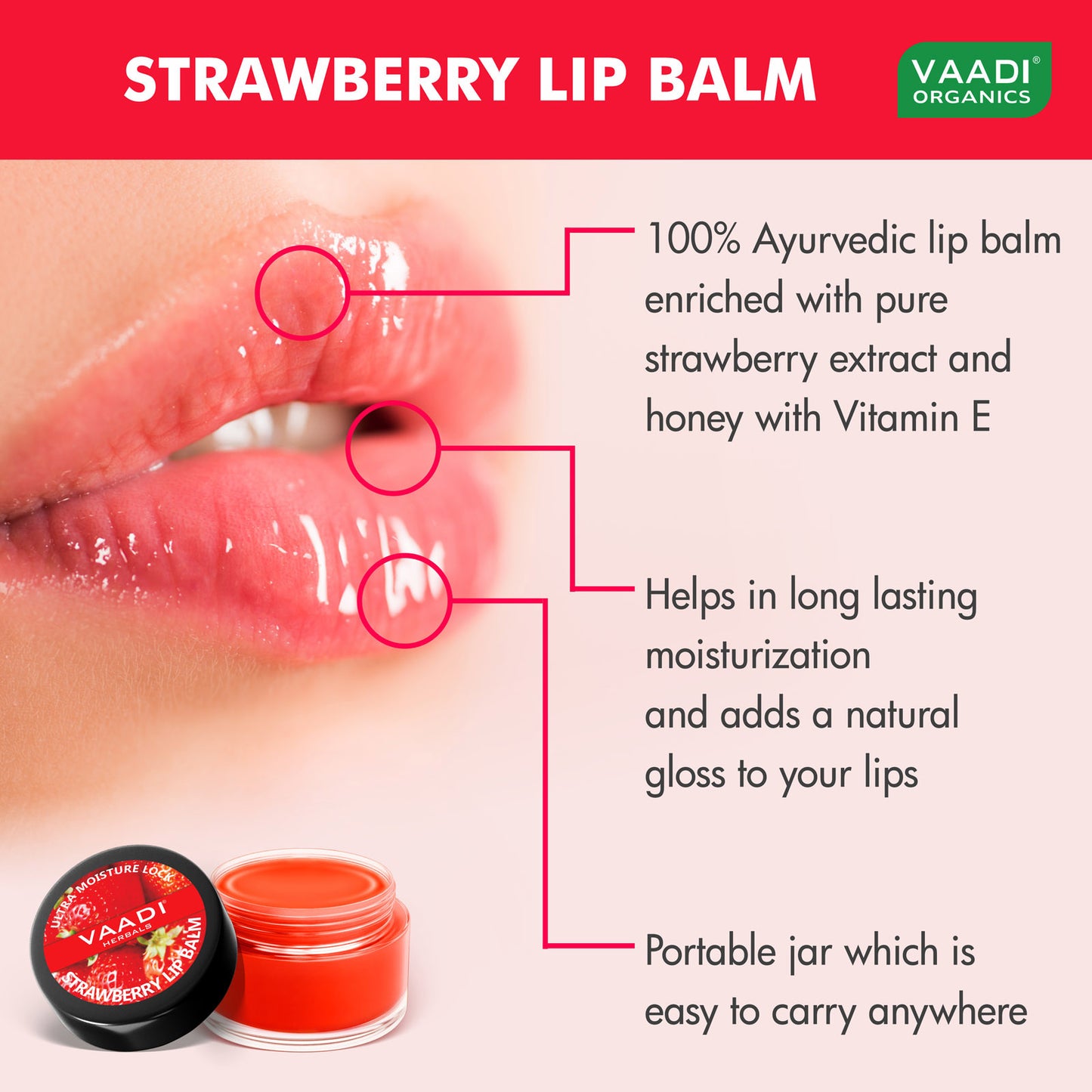 Pack of 4 Lip Balm - Strawberry & Honey (10 gms x 4 )