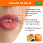 Pack of 8 Lip Balm - Orange & Shea Butter (10 gms x 8)