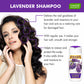 Lavender Shampoo with Olive Conditioner (110 ml x 2)