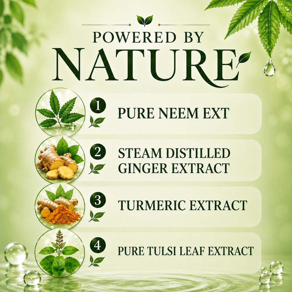 Pack of 2 Anti-Bacterial Neem Oil & Ginger Hand Wash (250 ml x 2)