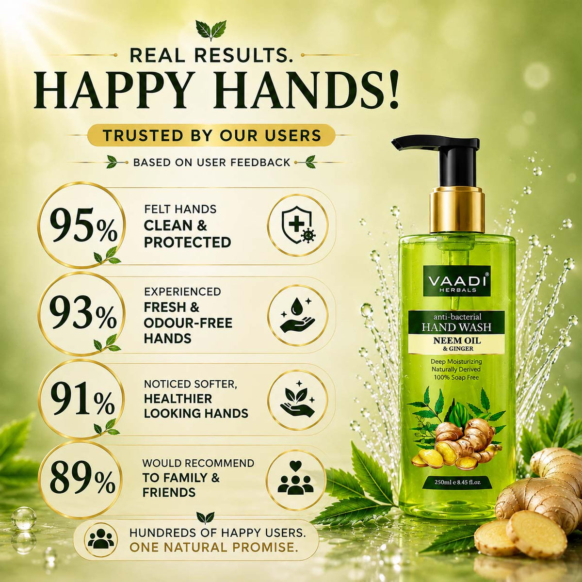 Pack of 2 Anti-Bacterial Neem Oil & Ginger Hand Wash (250 ml x 2)