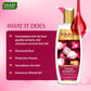 Onion Shampoo With Conditioner For Hairfall Control (350 ml X 2)