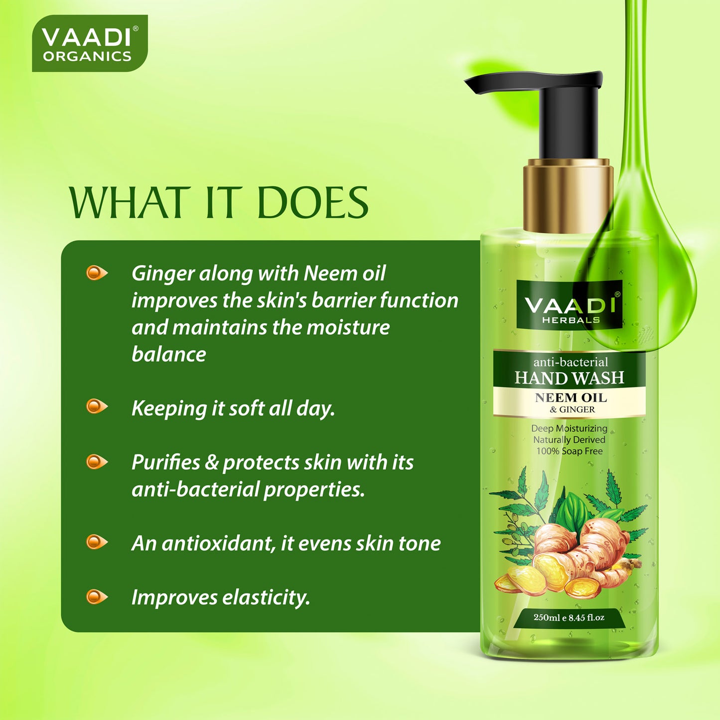 Anti-Bacterial Neem Oil & Ginger Hand Wash (250 ml)