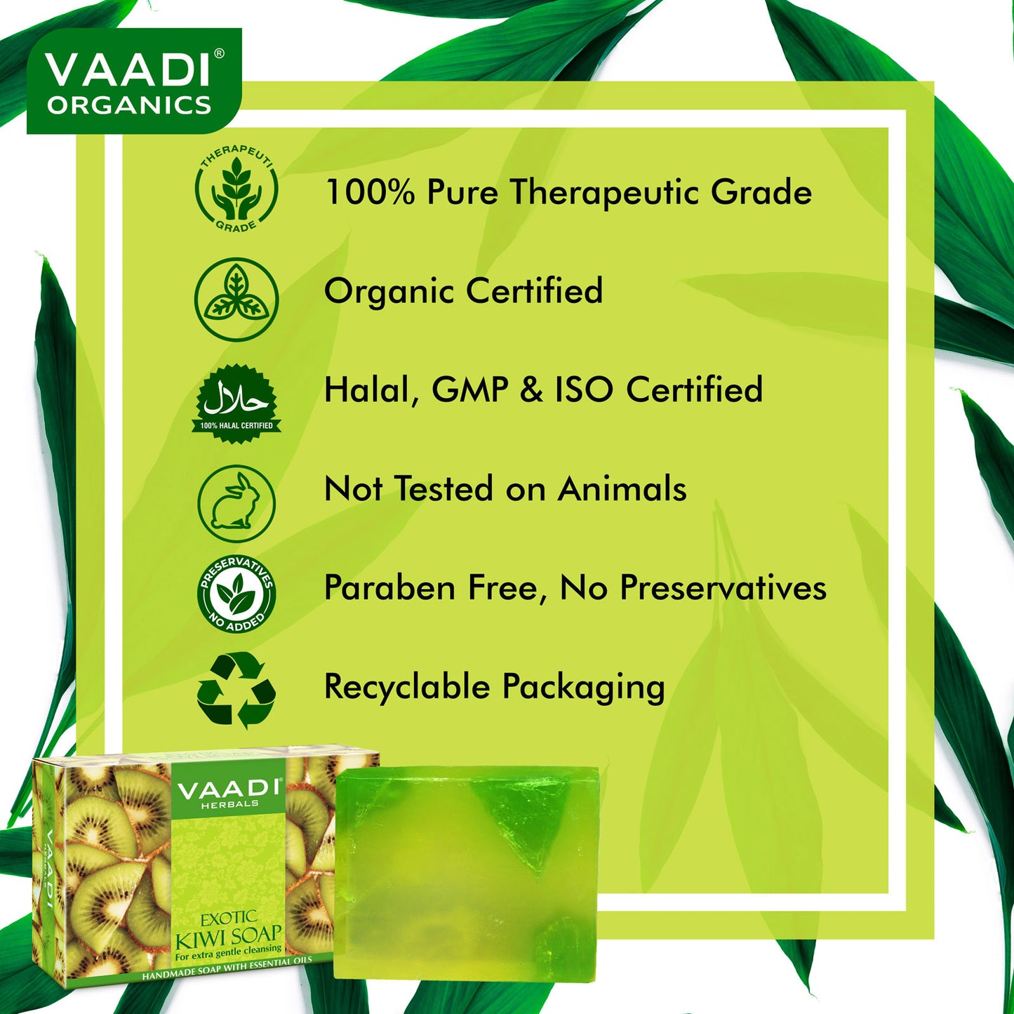 Pack of 6 Exotic Kiwi Soap With Green Apple Extract (75 gms x 6)