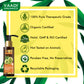 Amla Shikakai Shampoo - Hairfall & Damage Control with Corn Rose Conditioner (110 ml x 2)
