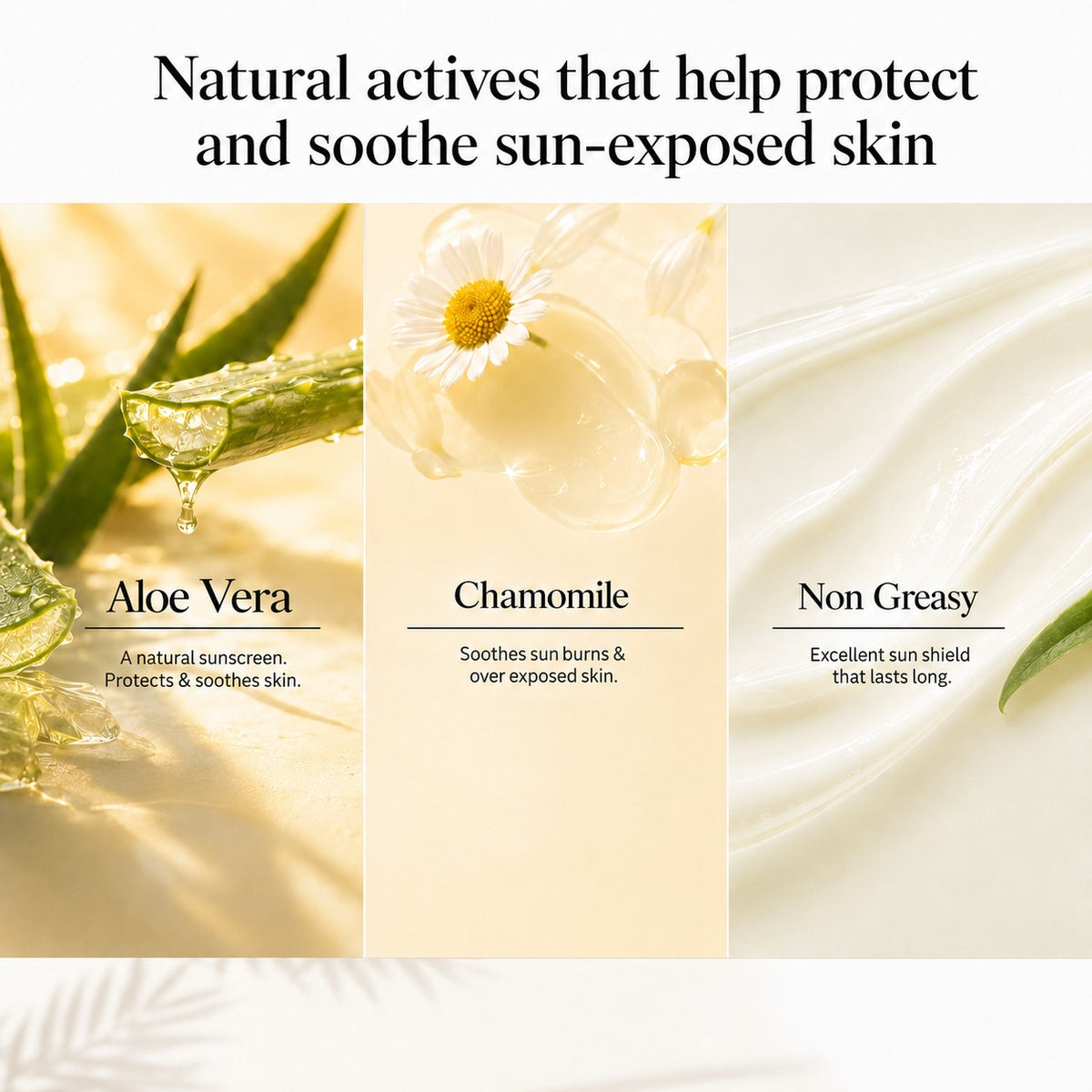 Pack of 2 Sunscreen Lotion SPF-50 with Aloe Vera & Chamomile (110 ml x 2)