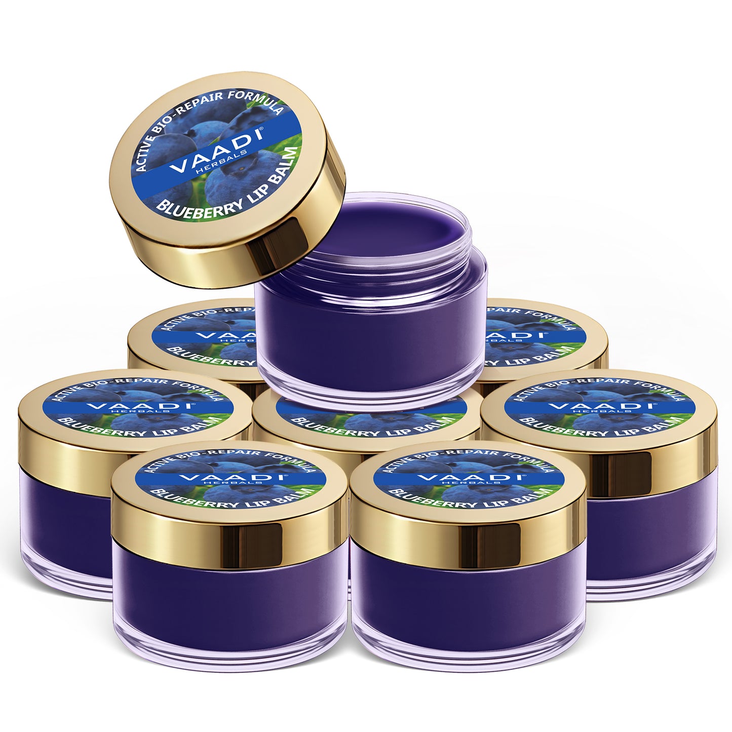 Pack of 8 Lip Balm - Blueberry (10 gms x 8)