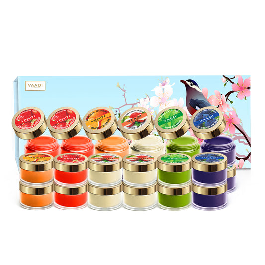 Premium 24 Lip Balm Gift Box (10 gms x 24)