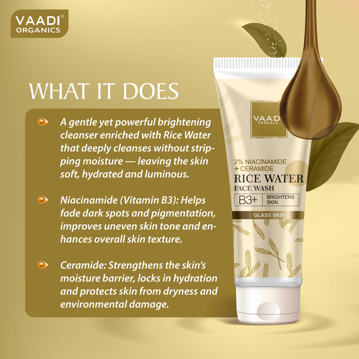 Vaadi Herbals 2% Niacinamide + Ceramide Rice Water Face Wash | B3+ | Brightens Skin|Glass Skin Look| Hydrating (60 ml)