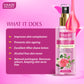 Pack of 3 Skin Toners - Rose Water, Lavender Water and Aloe Vera & Cucumber Mist - 100% Natural & Pure (250 ml x 3)