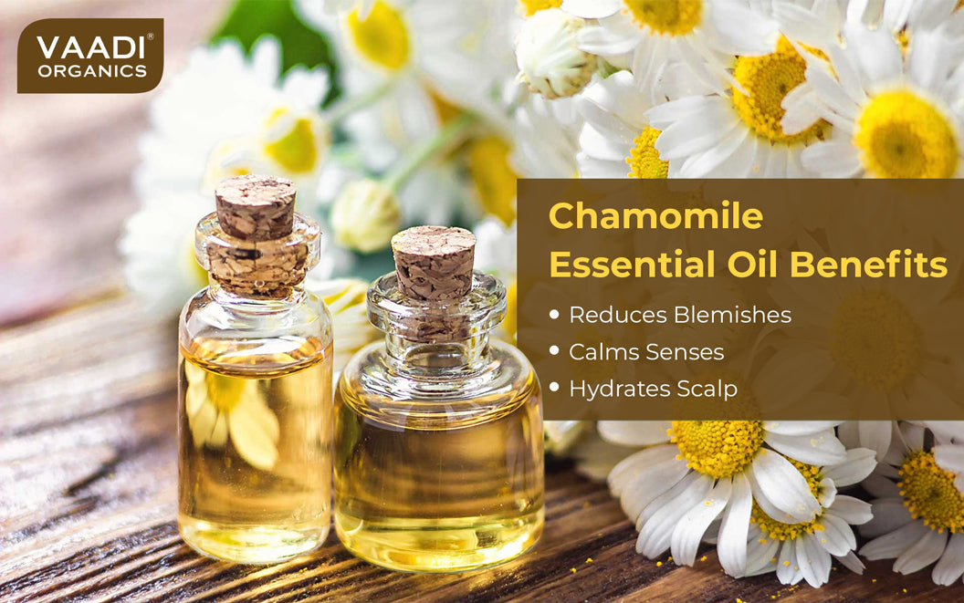 Chamomile Essential Oil - Reduces Blemishes, Evens Skin Tone - Relieves Stress, Better Sleep - 100% Pure Therapeutic Grade (10 ml)