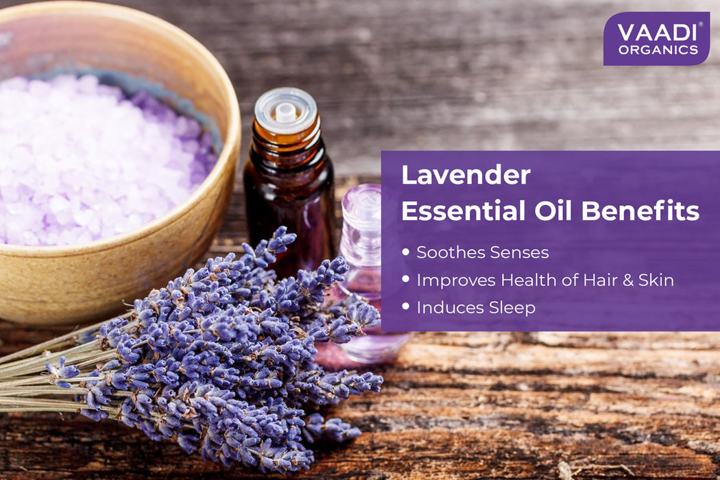 Lavender Essential Oil - Prevents Hairfall, Relieves Stress, Soothes Skin - 100% Pure Therapeutic Grade (10 ml)
