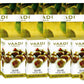 Pack of 4 Olive Facial Bars with Cane Sugar Extract (25 gms x 4)