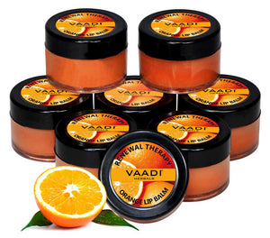 Pack of 8 Lip Balm - Orange & Shea Butter (...